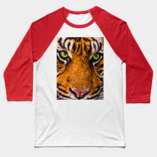 Tiger Face Baseball T-Shirt